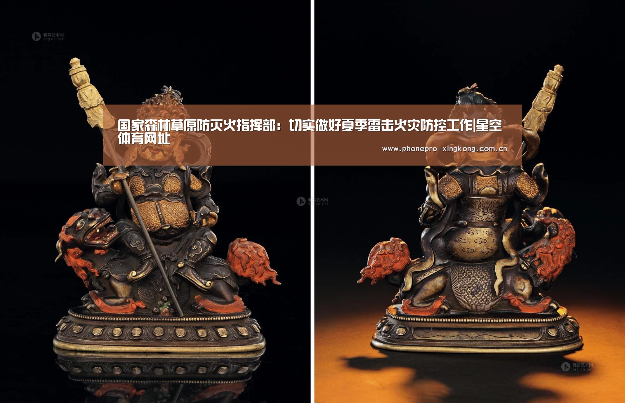 国家森林草原防灭火指挥部:切实做好夏季雷击火灾防控工作|星空体育网址(图3) 星空体育入口