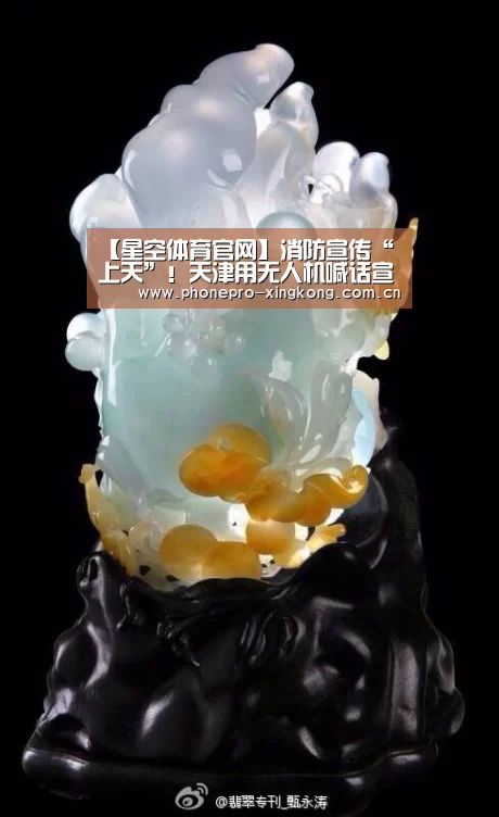 星空体育入口