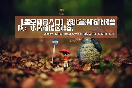 星空体育入口