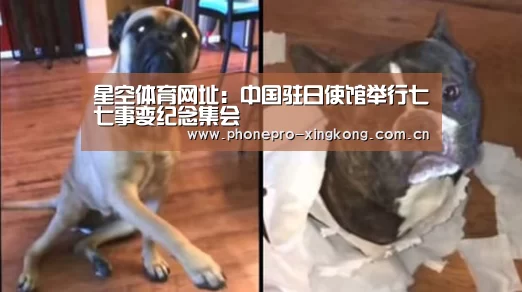 星空体育网址:中国驻日使馆举行七七事变纪念集会(图4) 星空体育