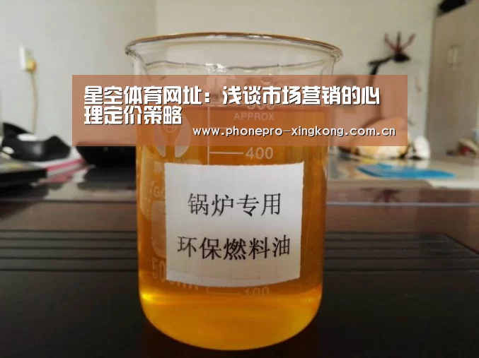 星空体育网址:浅谈市场营销的心理定价策略(图2) 星空体育官网